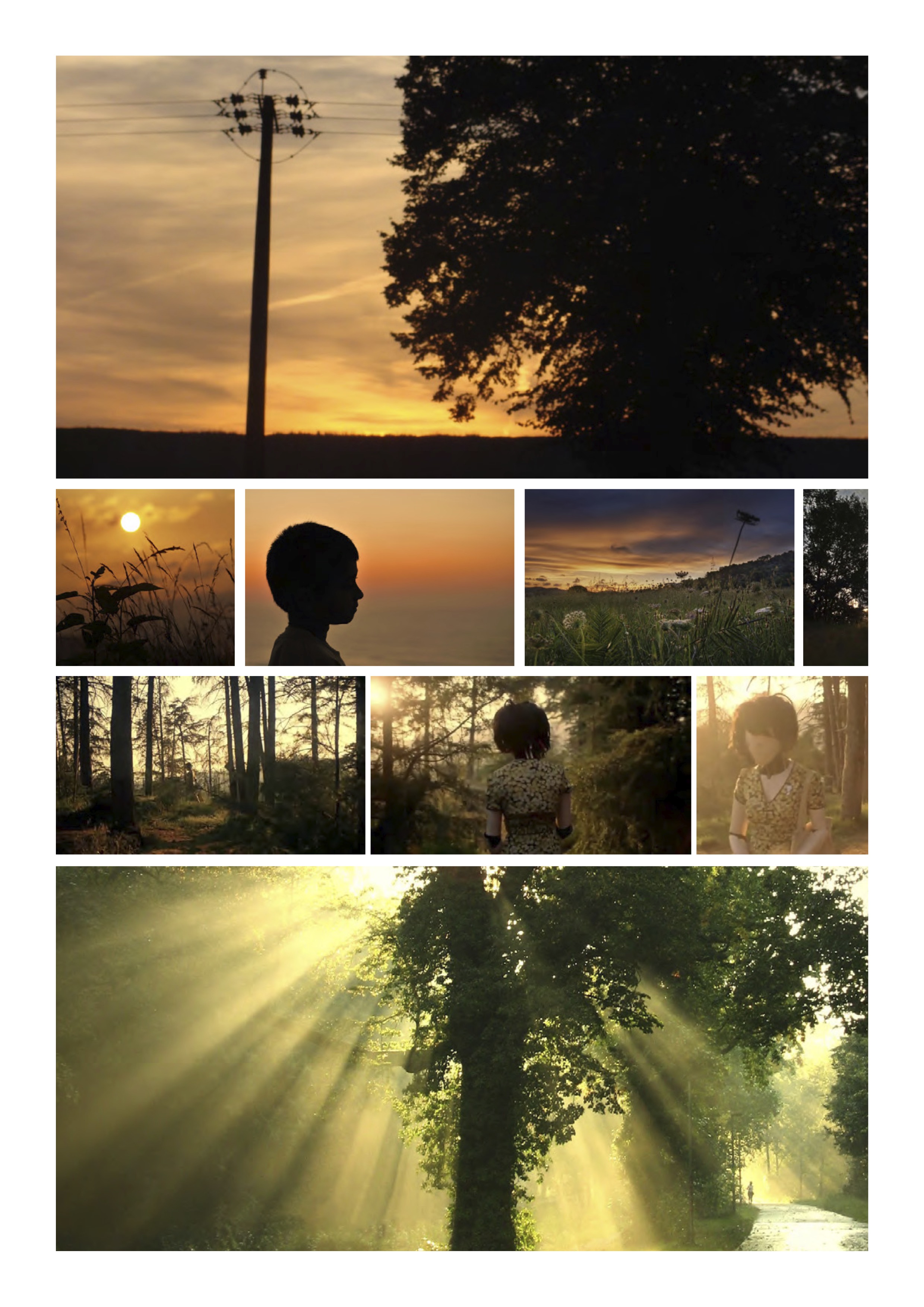 placeholder image-wide
